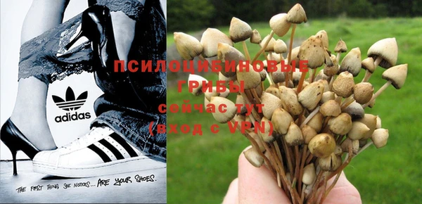 таблы Каменка