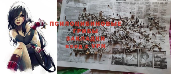 таблы Каменка